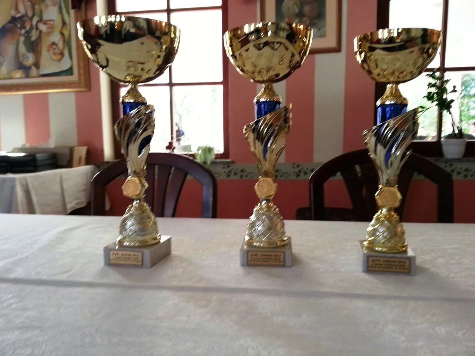 International tournaments — Čelić, Derventa, Laktaši, Szeged, Pljevlja, Velika Kladuša… (11)